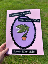 Load image into Gallery viewer, (Seconds) Sometimes Blooming Where You’re Planted Looks Like This Print