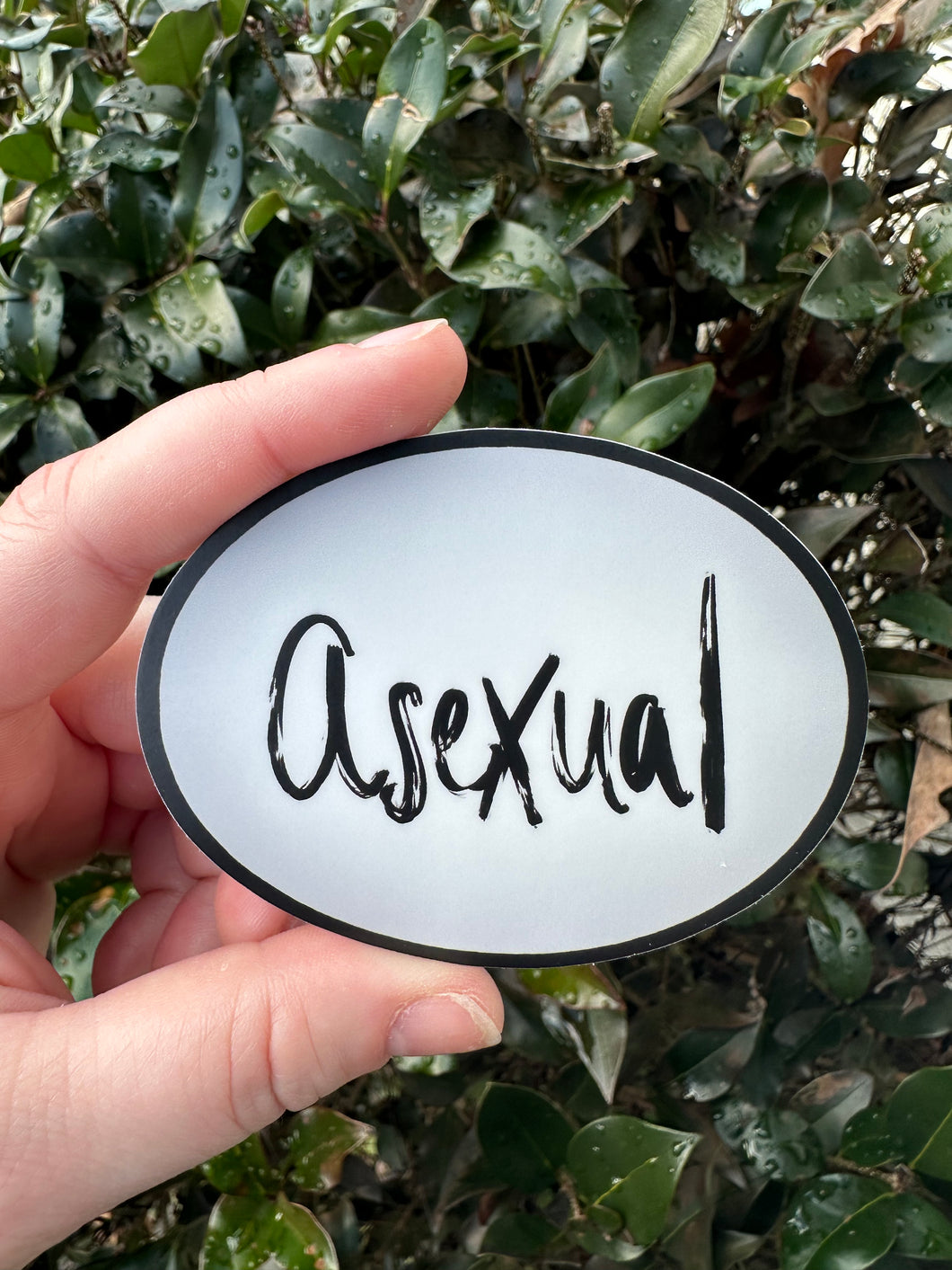 Asexual Sticker