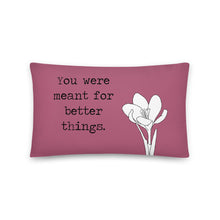 Load image into Gallery viewer, You Were Meant for Better Things Pillow