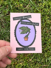 Load image into Gallery viewer, Sometimes Blooming Where You’re Planted Looks Like This Sticker
