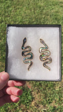 Load and play video in Gallery viewer, Abalone Snake Earrings
