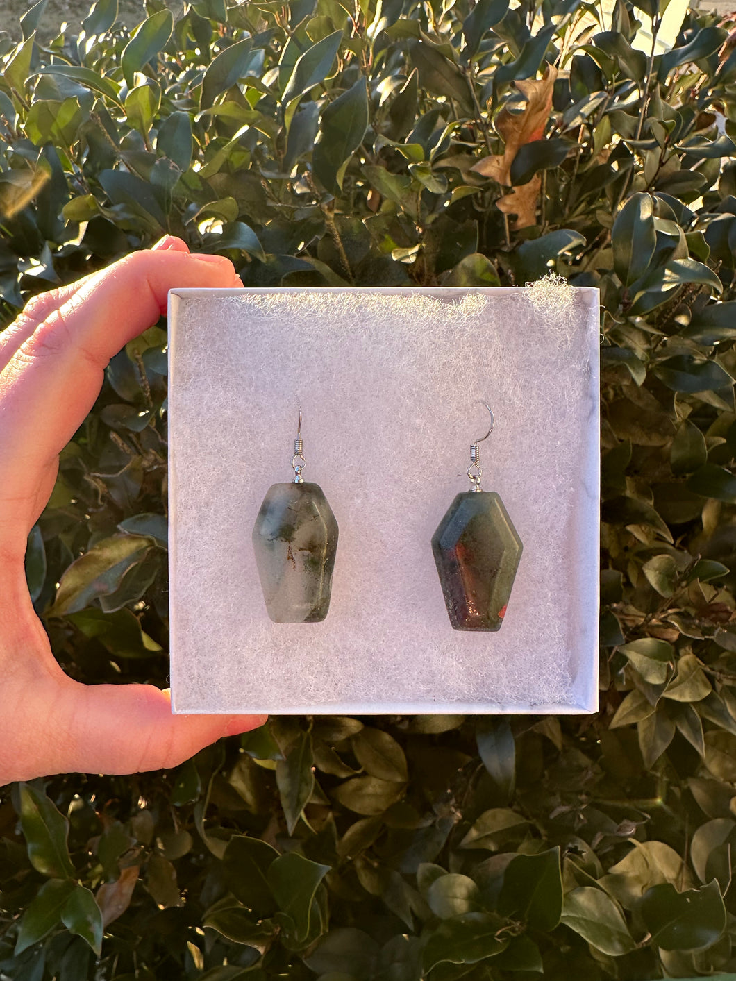 Blood Stone Coffin Earrings