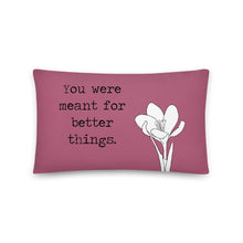 Load image into Gallery viewer, You Were Meant for Better Things Pillow
